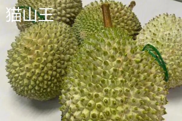 榴莲的英文名称，英文名是durian