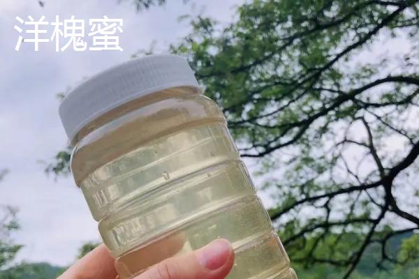洋槐蜜与椴树蜜哪个更好，洋槐蜜的口感和色泽略优