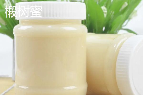 洋槐蜜与椴树蜜哪个更好，洋槐蜜的口感和色泽略优