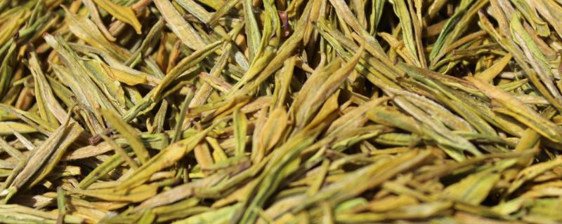 黄茶的品种，主要分布在湖北、湖南、安徽等地