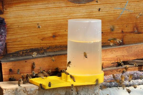如何使用蜜蜂饲喂器，装好干糖后放在箱体与副盖之间即可