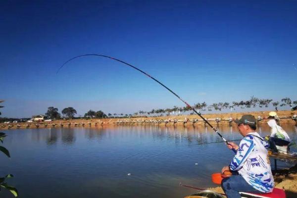 钓甲鱼的适宜时间，农历4-10月份适合垂钓