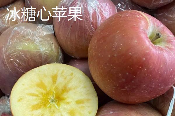 冰糖心苹果是特殊的品种吗，并非特殊的品种