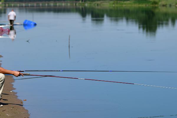 垂钓黄颡鱼要钓浅还是钓深，适合钓2-3米的深度