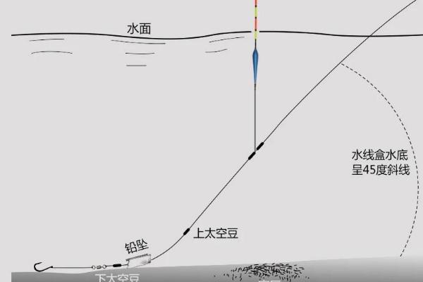 台钓和传统钓所用鱼漂的区别，台钓主用立漂、传统钓多用立漂、七星漂、卧式漂