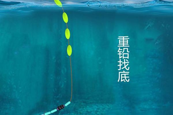 台钓和传统钓所用鱼漂的区别，台钓主用立漂、传统钓多用立漂、七星漂、卧式漂