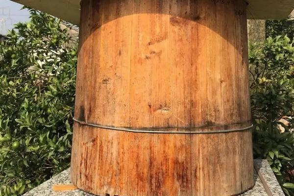 诱蜂桶放在什么位置合适，要满足蜂群、蜜源和筑巢条件