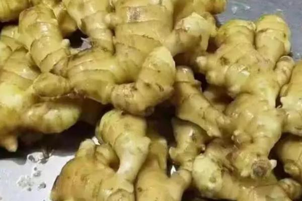 蔬菜的水培方法，可将蔬菜栽种至定植杯中、再镶嵌于浮板各孔上