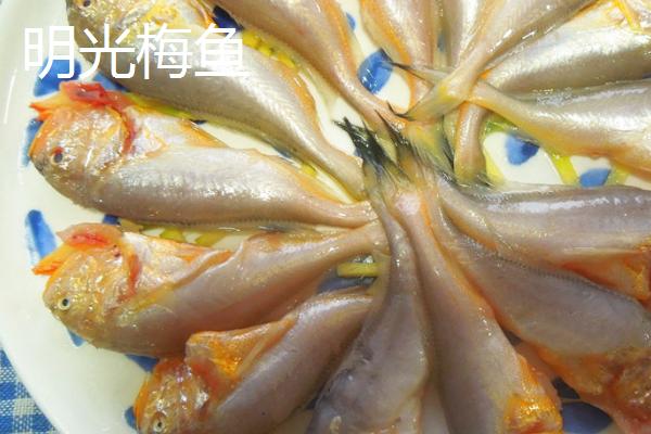 安徽省明光市的特产，明光梅鱼一直列为席上佳肴