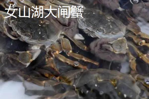 安徽省明光市的特产，明光梅鱼一直列为席上佳肴