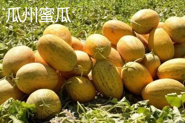 甘肃省天水市有哪些特产水果，包括秦安蜜桃、秦安苹果、麦积核桃等种类