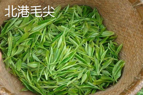 黄茶的品种，主要分布在湖北、湖南、安徽等地