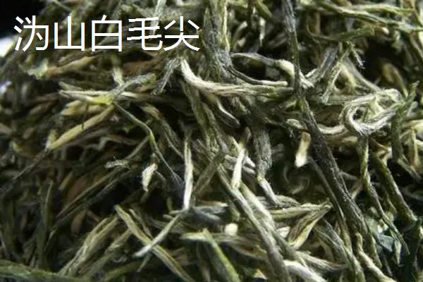 黄茶的品种，主要分布在湖北、湖南、安徽等地