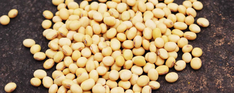 南农71大豆种子特点，夏大豆品种
