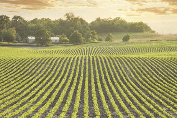 美国农业的生产特点，农业地区专门化和农业生产专门化