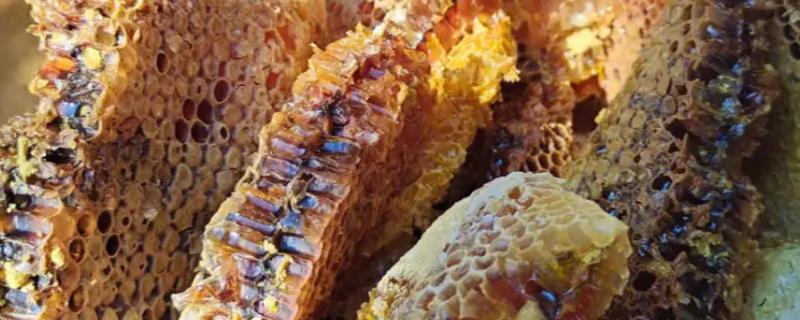 正宗蜂蜜一斤要多少钱，会受到蜜种等条件的影响