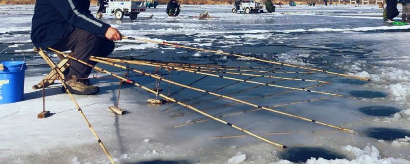 冰钓鲤鱼要使用哪种线组，可使用冰钓竿、尼龙线、伊势尼钩