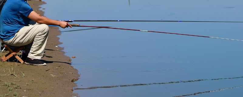 美人鱼鱼竿推荐，具有代表性的有游钓天下、万人迷、丹顶鹤等
