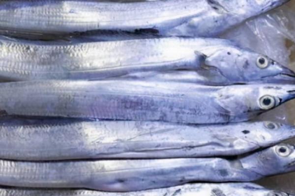 带鱼的白色鱼皮是什么，是一层由特殊脂肪形成的表皮