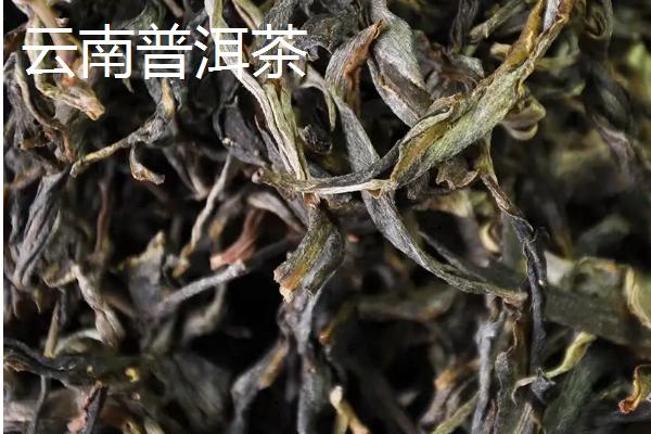 中国有哪十种名茶，各有特色