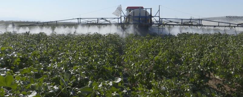 棉花田病虫害防治方法，针对不同的病虫害采用不同的防治方法