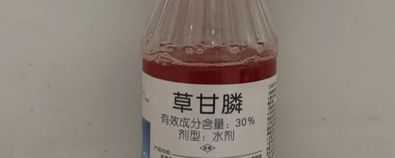 草甘膦除草剂喷施多久见效，一般在7-10天内即可见效