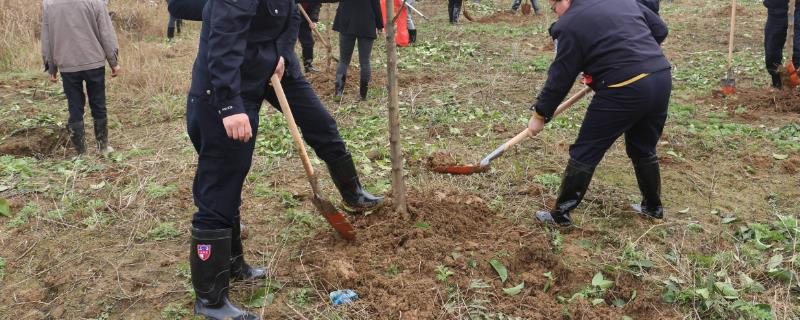 清明节有哪些风俗，各地风俗不一样