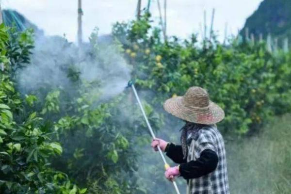 苯醚甲环唑的防治对象，可有效防治纹枯病、叶枯病、黑星病等