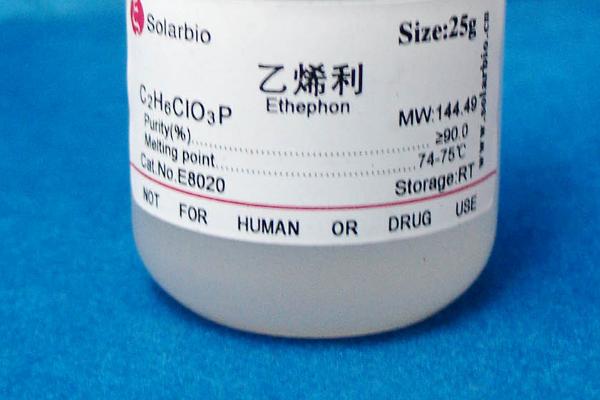 催熟小麦的药物有哪些，常用的有乙烯利、多效唑和磷酸二氢钾等