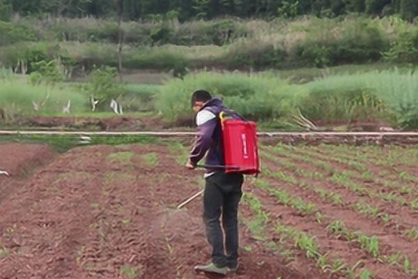 如何正确施用微生物农药，要均匀喷洒