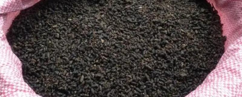 选购高质量海藻肥的方法，纯正的海藻肥呈黑褐色
