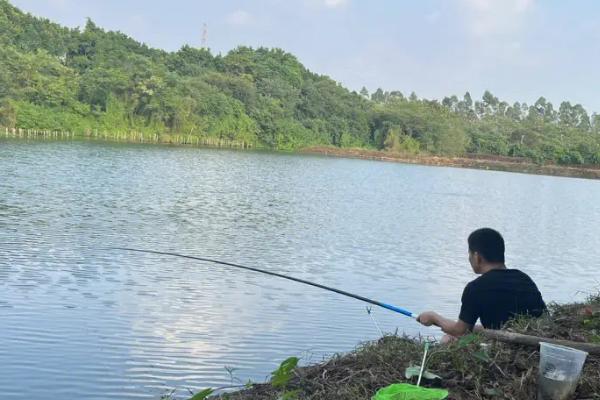 六月钓鱼适合钓深还是钓浅，大部分情况都应该钓深