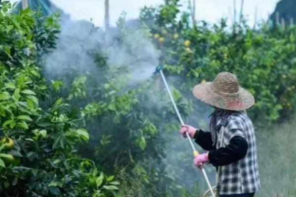 噻呋酰胺的防治对象，可防治纹枯病等病害