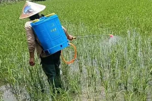 有哪些水稻田除草剂，包括吡嘧磺隆、苄嘧磺隆、丁草胺等药物