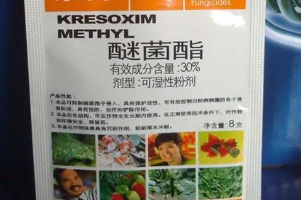 嘧菌酯的用途，可防治白粉病、锈病、网斑病等