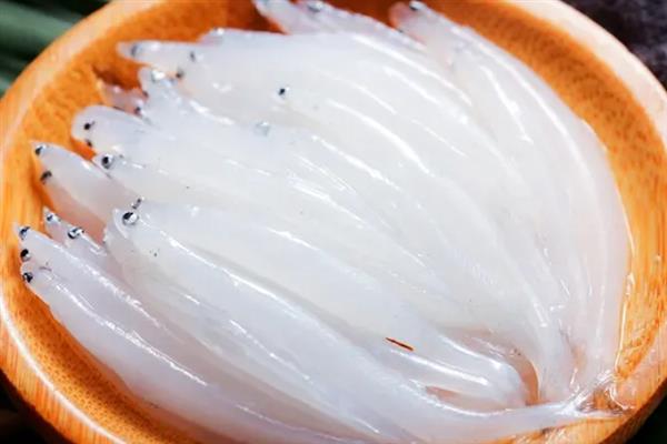 银鱼简介，因体色呈银白色而得名