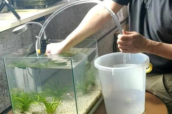 鱼缸玻璃上的白色雾状东西是什么，是大量死亡的硝化细菌