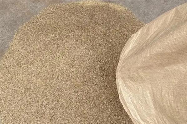 混播草籽是指哪三种，是指高羊茅、黑麦草和狗牙根