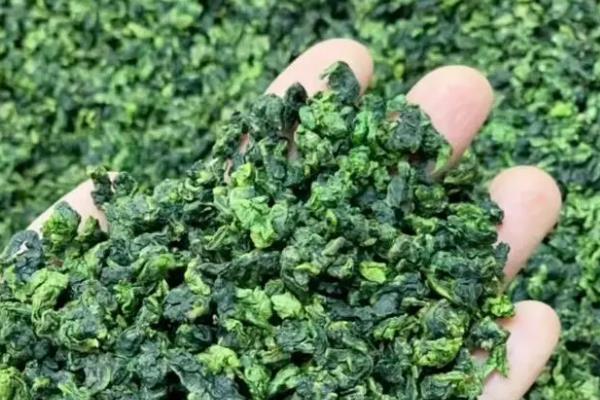 乌龙茶是什么茶，属于青茶