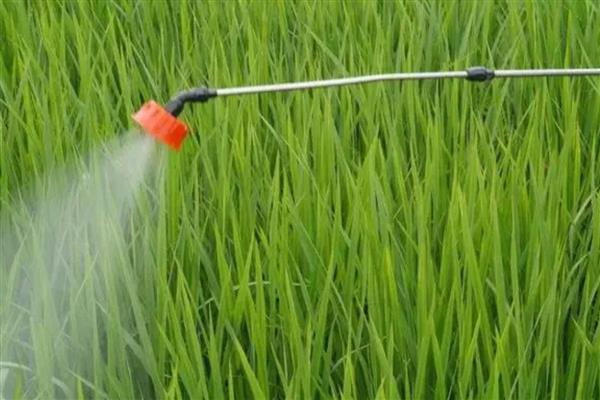 如何提高微生物农药施用效果，必须保存于闭光、低温地方