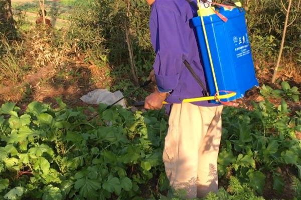 如何提高微生物农药施用效果，必须保存于闭光、低温地方