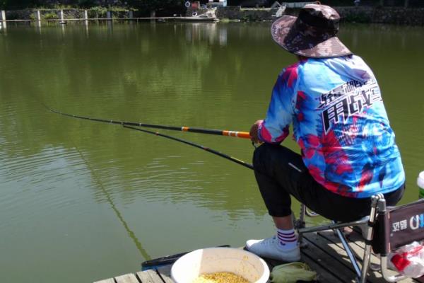 夏季钓鲤鱼效果好吗,掌握好技巧便容易钓到