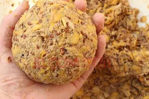 夏季钓鲤鱼效果好吗,掌握好技巧便容易钓到