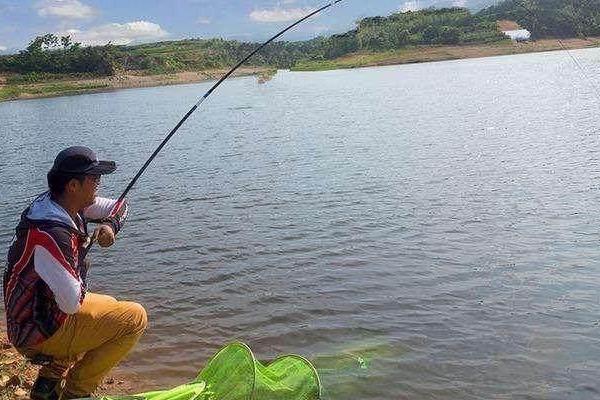 夏季钓鲤鱼效果好吗,掌握好技巧便容易钓到