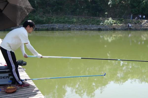 夏季钓鲤鱼效果好吗,掌握好技巧便容易钓到