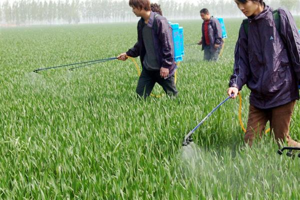 如何提高微生物农药施用效果，必须保存于闭光、低温地方