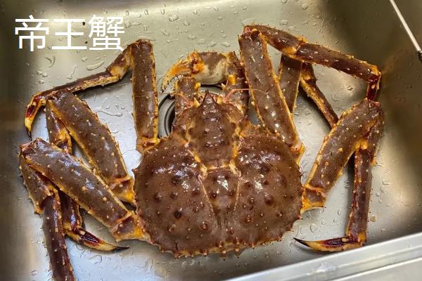 石岩蟹和帝王蟹有什么区别，品种、体型和生长习性均不同