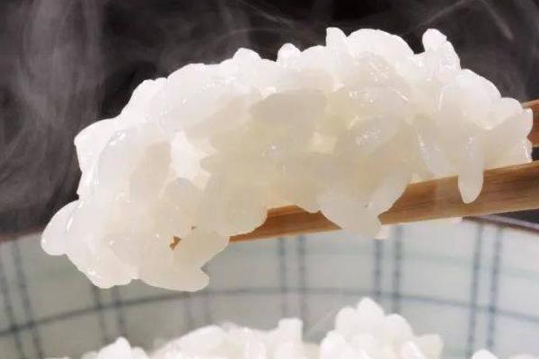 钓鱼饵料的品牌，这10个饵料品牌最受钓鱼人青睐