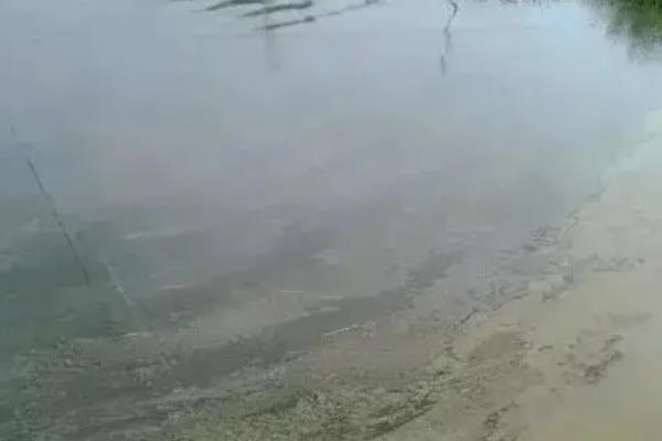 鱼塘亚硝酸盐过高如何处理，可以向池塘泼洒沸石粉