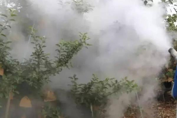 苹果高产园怎么施肥用药，萌芽至开花前第一遍用药